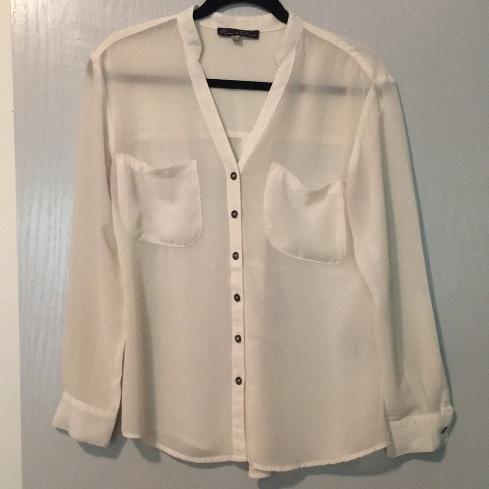 Rose and Olive Sheer Button Up